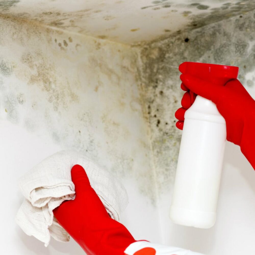 como-arreglar-una-pared-con-moho
